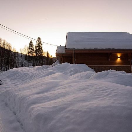 TOUT NEUF - Chalet Pébie 8 à 10 pers avec sauna La Bresse Exterior foto