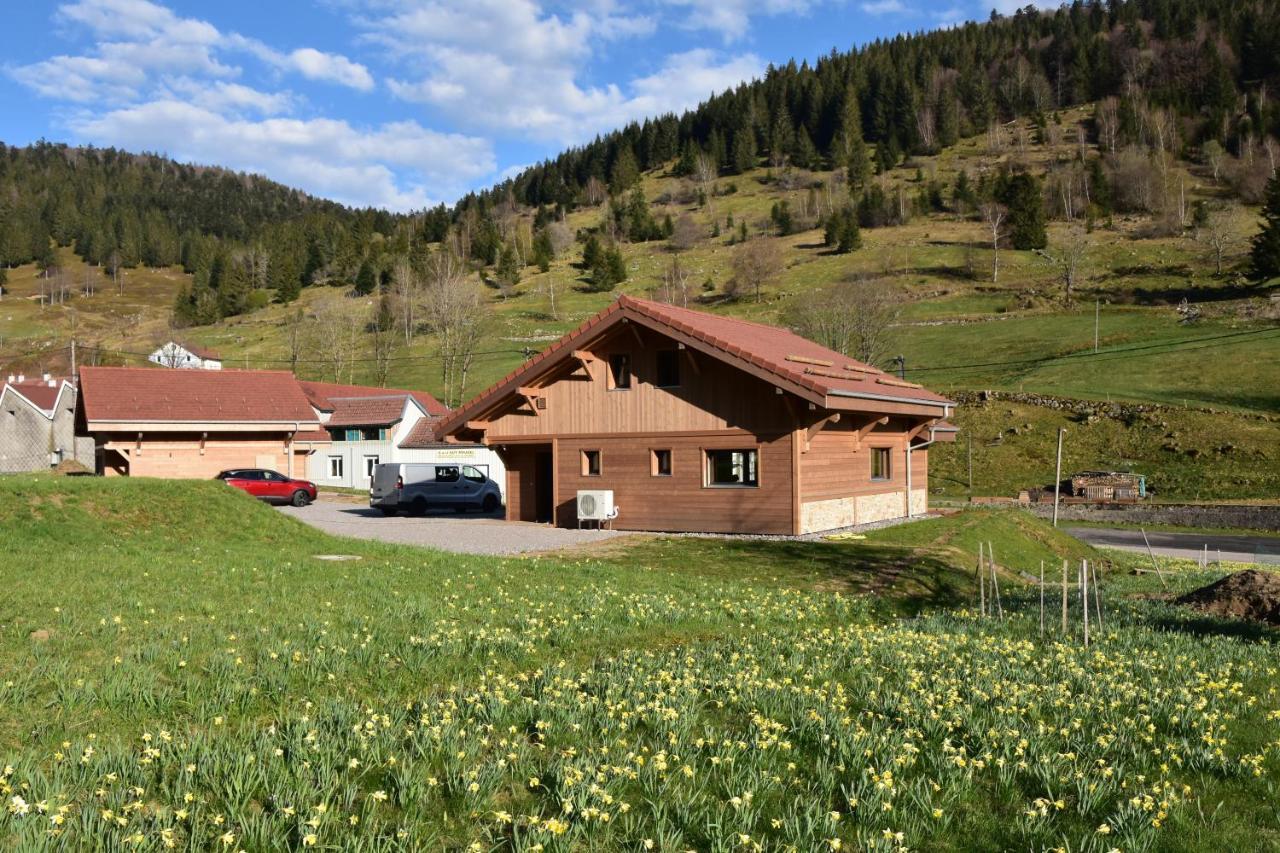 TOUT NEUF - Chalet Pébie 8 à 10 pers avec sauna La Bresse Exterior foto